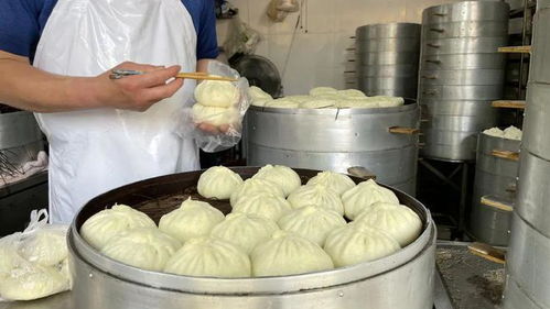 坐品质公交 享美好生活 53路敬老服务与美食美景，让出行更具幸福感